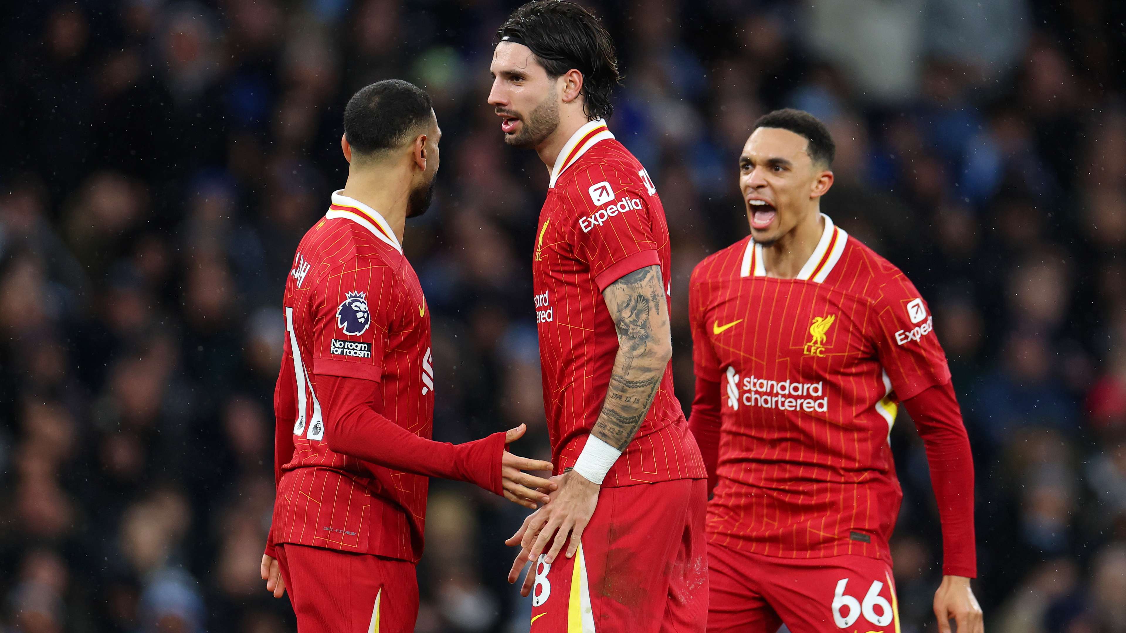 不能忽视所 不能忽视所