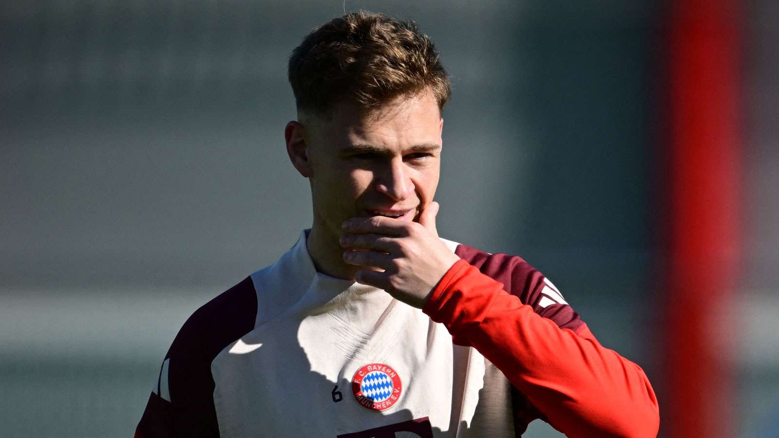 新的活力 新的活力