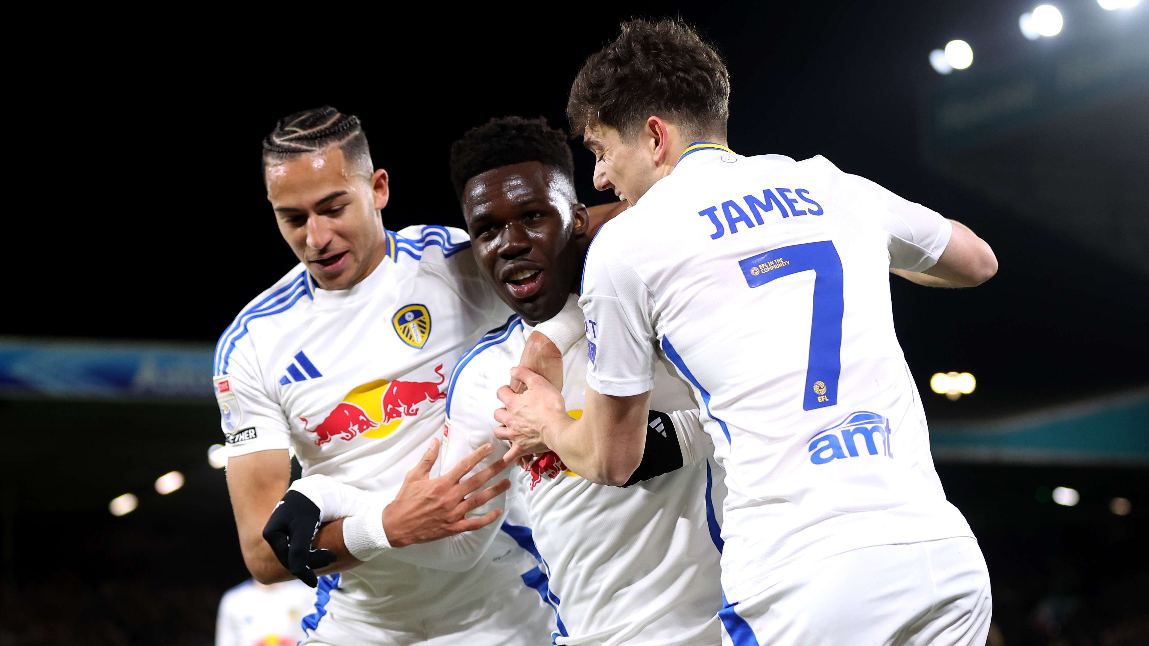 这首歌不仅 这首歌不仅