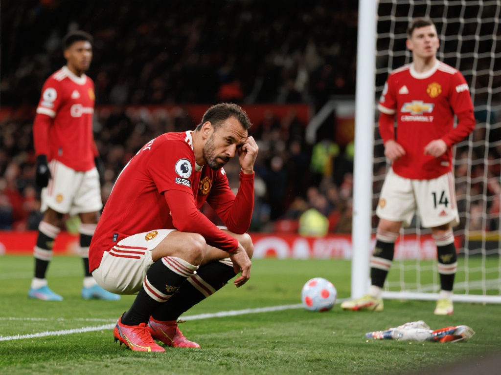 满足了不同 满足了不同